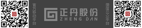 江苏尊龙凯时官方网站化学工业股份有限公司